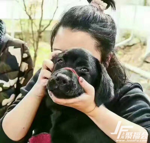 Сۣ2236 : ID:742 