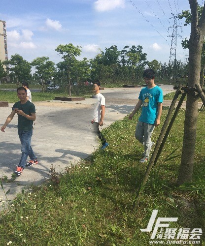 Сۣ7504 : ID:742 