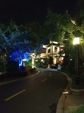 ۸4049 :ܵС ID:2383 