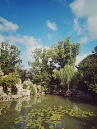۸1342 :ܵС ID:2383 