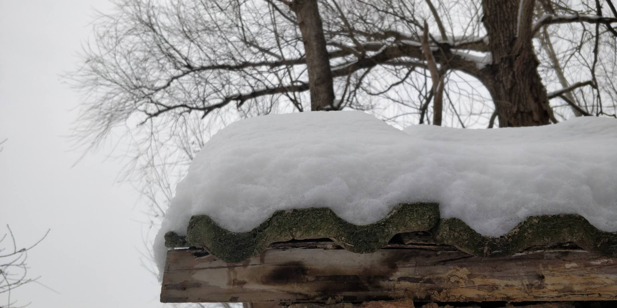 ������֤����3557 ����:����Ҳ ����ID:2763 